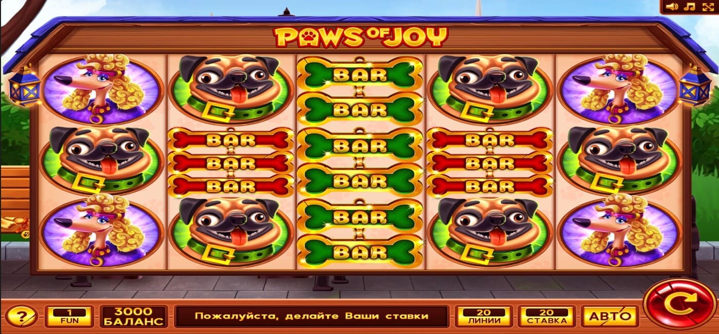 Paws of Joy